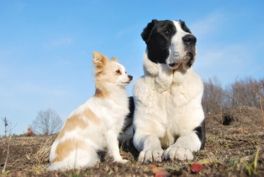 Similar image 365830