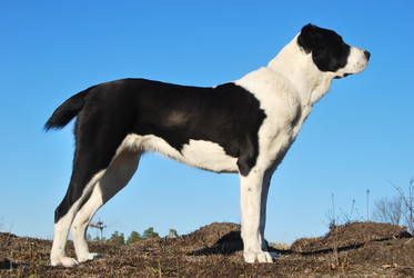 Similar image 365832