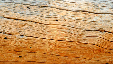 Similar image 365859