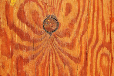 Similar image 365862