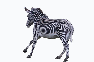 Similar image 365909