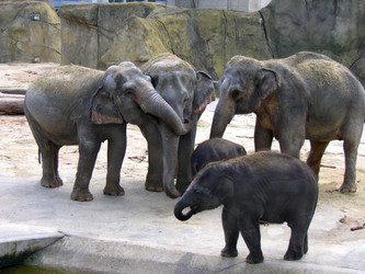 Similar image 365985