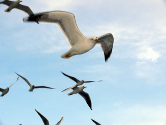 Similar image 365987