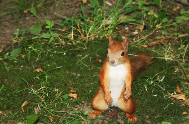 Similar image 365994