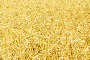 Similar image 366001