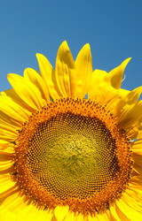 Similar image 366003