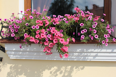 Similar image 366012