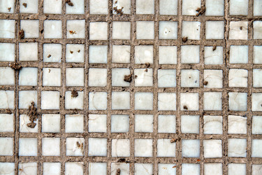 Similar image 366109