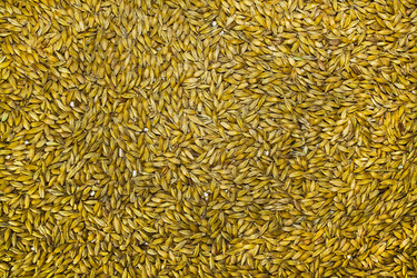 Similar image 366160