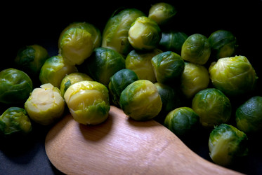 Similar image 366212