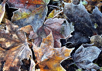 Similar image 366222