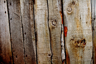 Similar image 366268