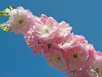 Similar image 366306