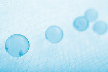 Similar image 366336