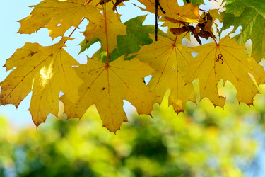 Similar image 366354