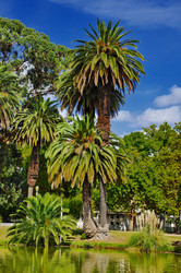 Similar image 366401