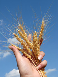 Similar image 366414