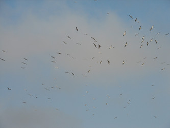 Similar image 366519