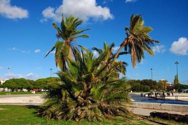 Similar image 366530