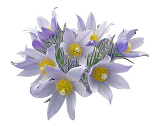 Similar image 366652