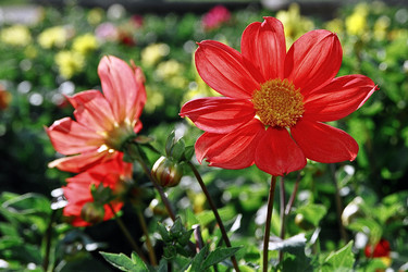 Similar image 366680