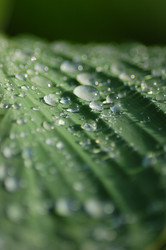 Similar image 366721