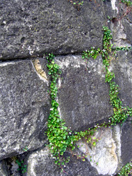 Similar image 366735