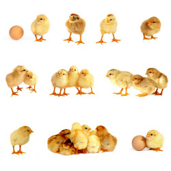 Similar image 366749