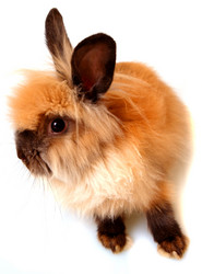 Similar image 366755