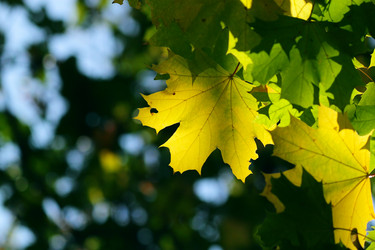 Similar image 366806