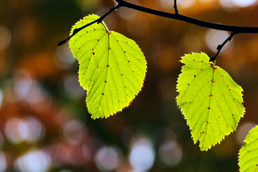 Similar image 366807