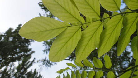 Similar image 366809