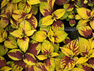 Similar image 366920