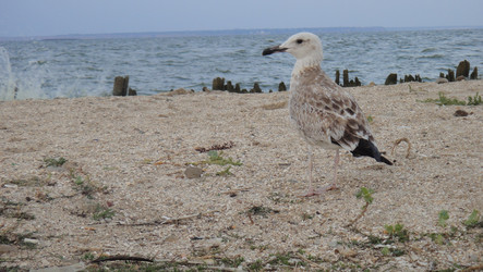 Similar image 366933