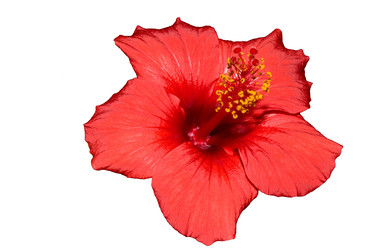 Similar image 366934