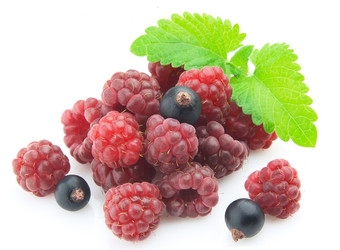 Similar image 366935