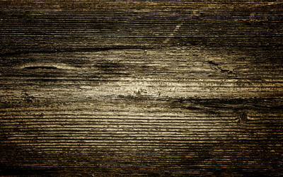 Similar image 367033