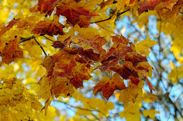 Similar image 367106