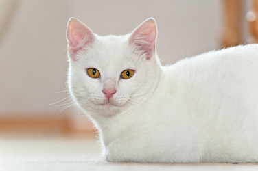 Similar image 367117