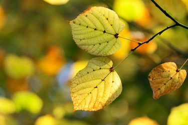 Similar image 367148