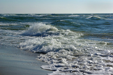 Similar image 367167