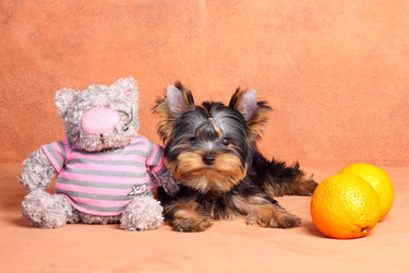 Similar image 367169