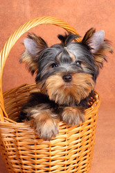 Similar image 367172