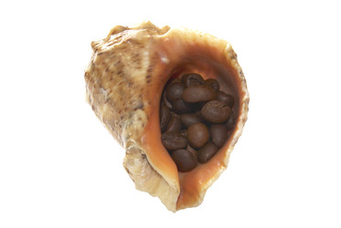 Similar image 367183