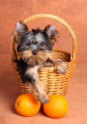 Similar image 367191