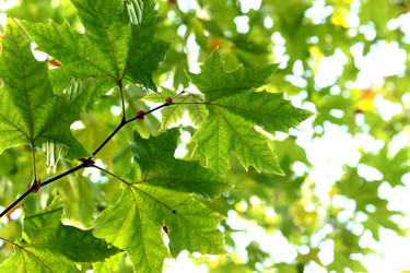 Similar image 367211