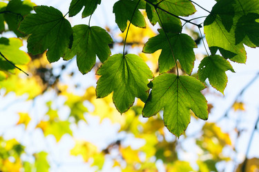 Similar image 367213