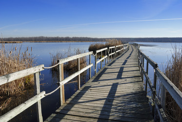 Similar image 367233