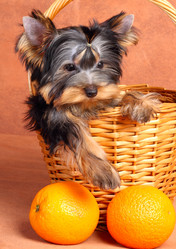 Similar image 367279