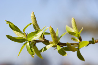 Similar image 367314